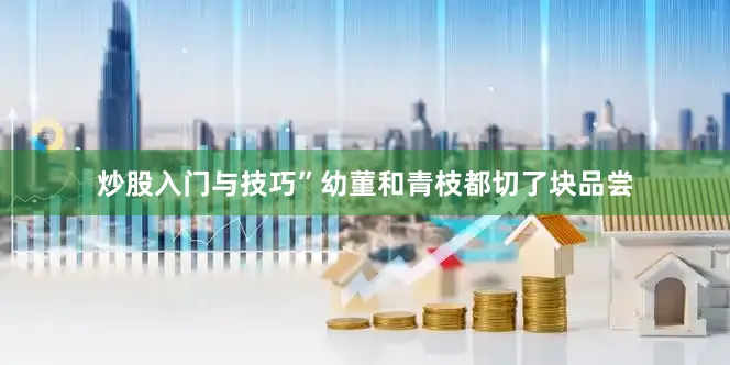 炒股入门与技巧”幼菫和青枝都切了块品尝