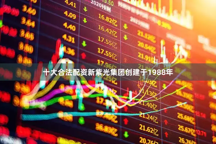 十大合法配资新紫光集团创建于1988年